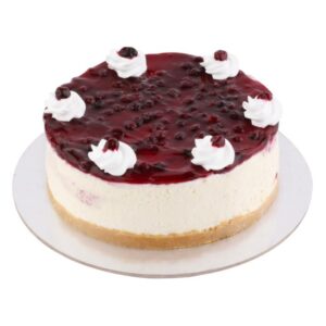BLUEBERRY CHEESECAKE LARGE
