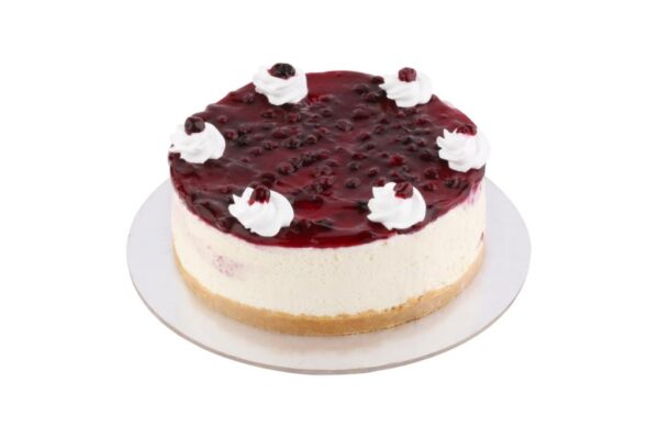 BLUEBERRY CHEESECAKE LARGE